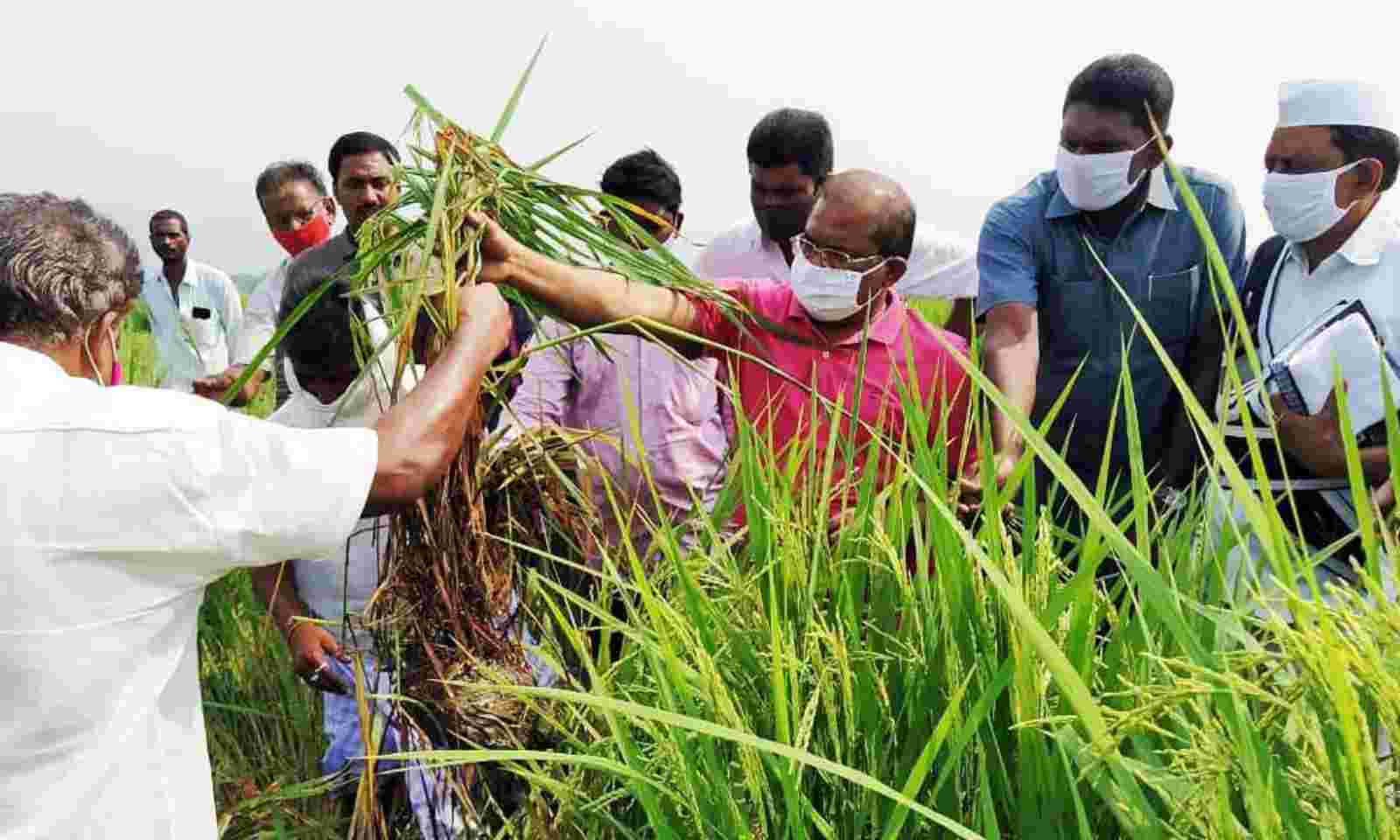 Input Subsidy for AP Farmers