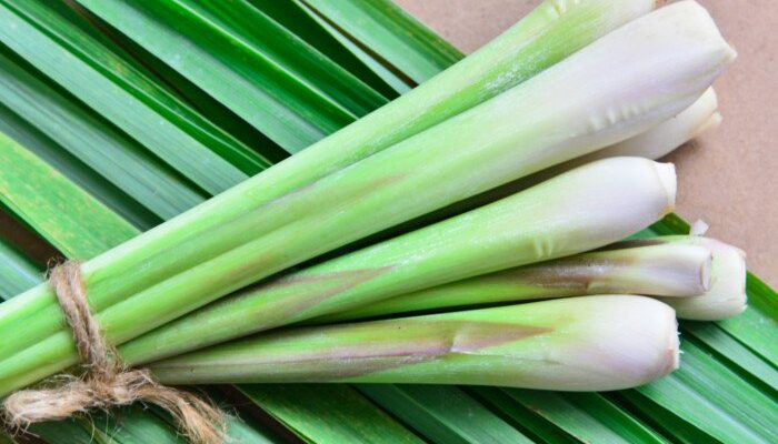 Lemongrass