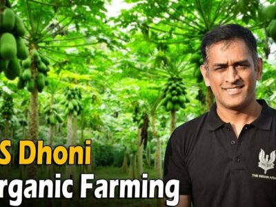 MS Dhoni Organic Farming