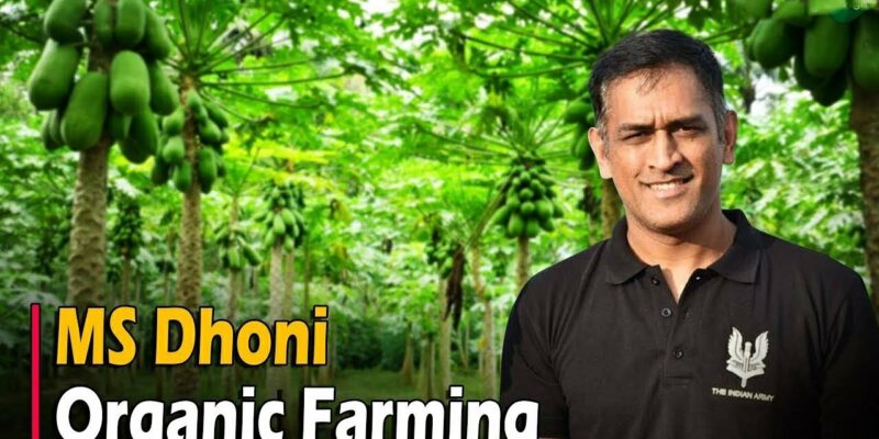 MS Dhoni Organic Farming