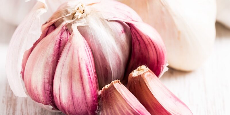 Pink Garlic