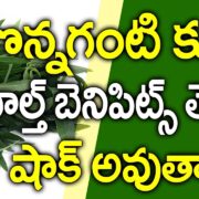 Ponnaganti leaves