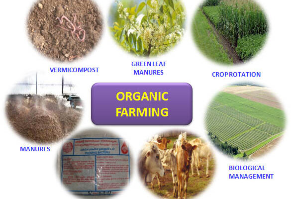 Organic Farming