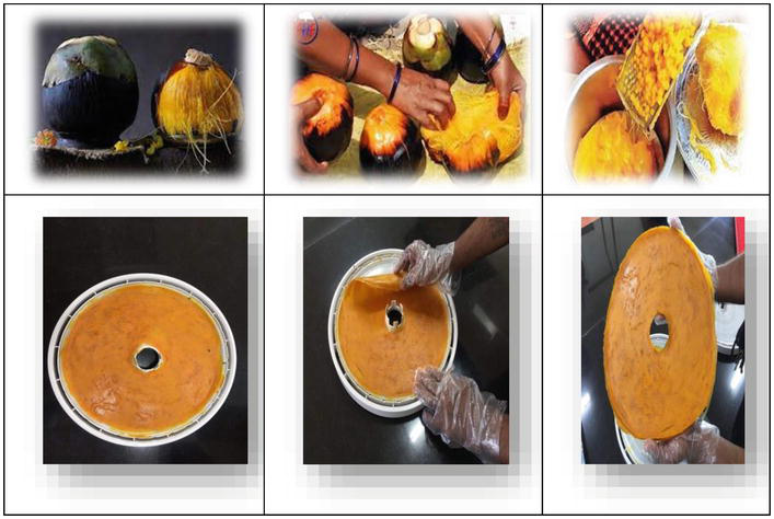 Value Addition Palmyrah