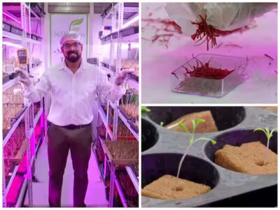 Aeroponics Saffron Farming by Pune Software Engineer