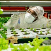 Agricultural scientist holding experiment in greenhouse