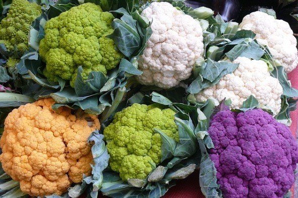 Cauliflower Cultivation