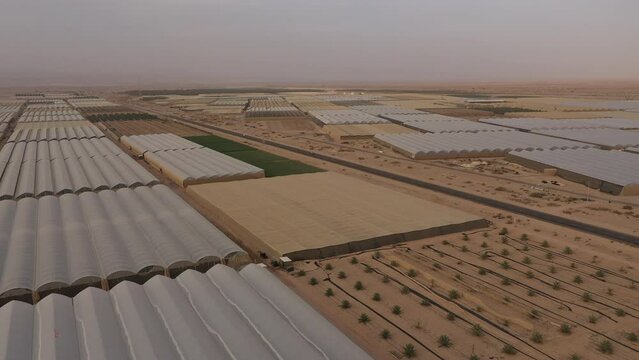 Desert Vegetable Farming