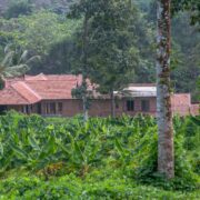 Eco-friendly Houses