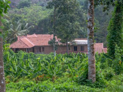 Eco-friendly Houses