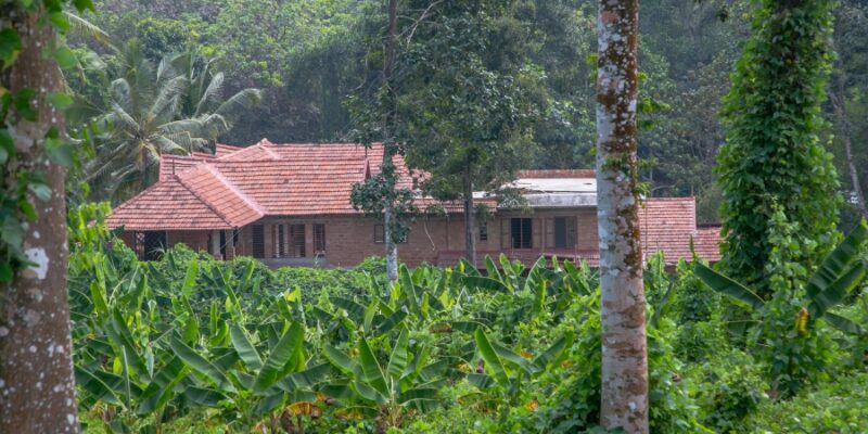 Eco-friendly Houses