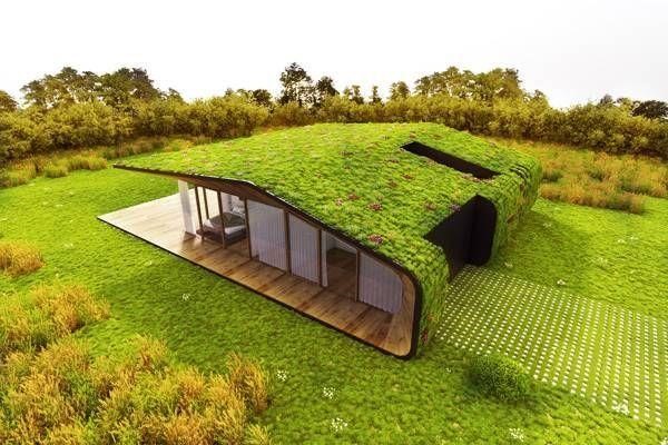 Eco-friendly Houses