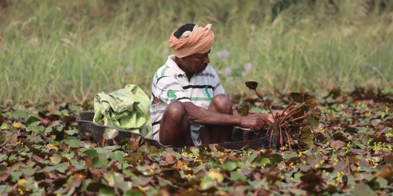 UP CM Yogi Adityanath Chairs Fruitful Meeting of State Agricultural Produce Market Council, Prioritizing Farmer Interests