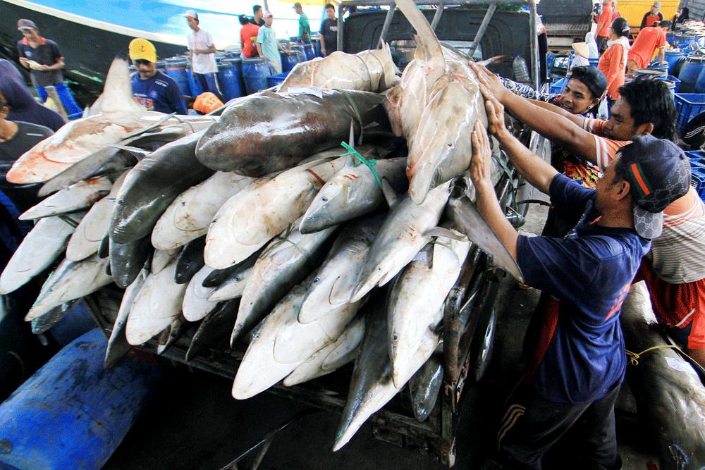 Fisheries in Telangana
