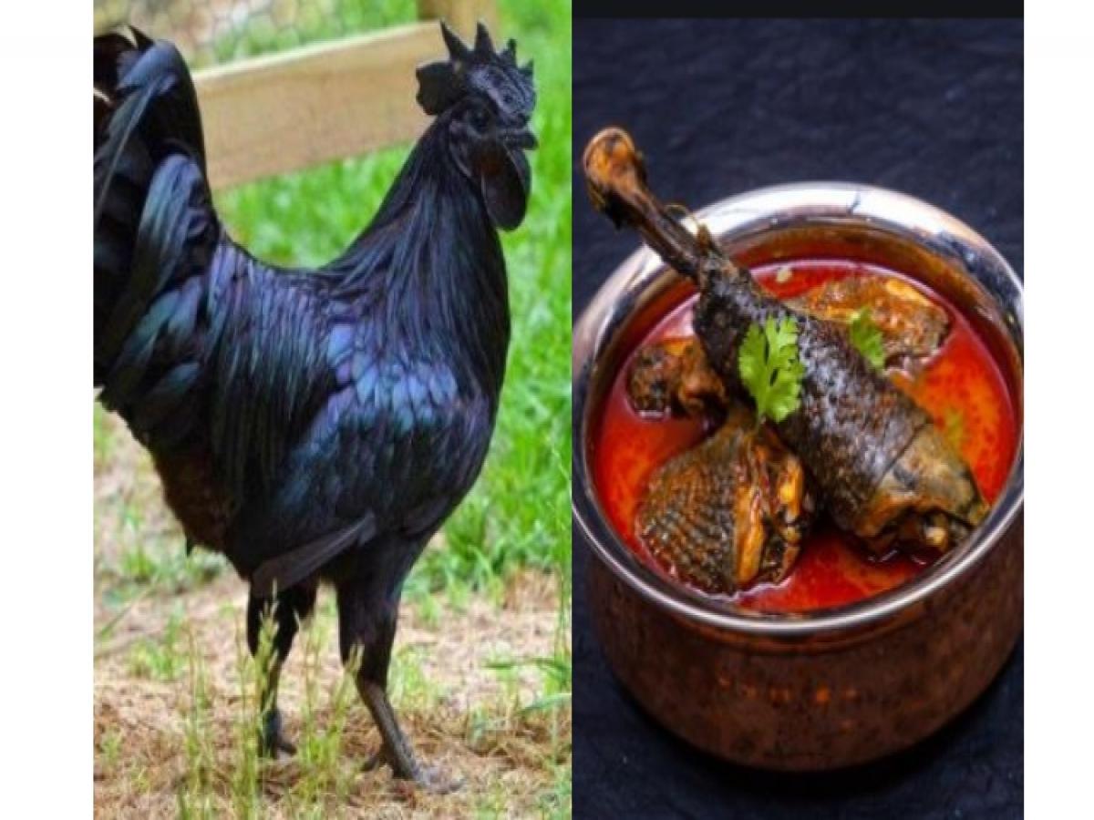  Kadaknath Hen