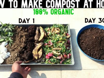 Compost Making at Home