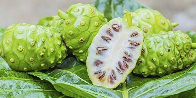 Noni Fruit Health Benefits