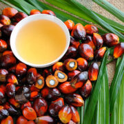 Telangana Oil Palm