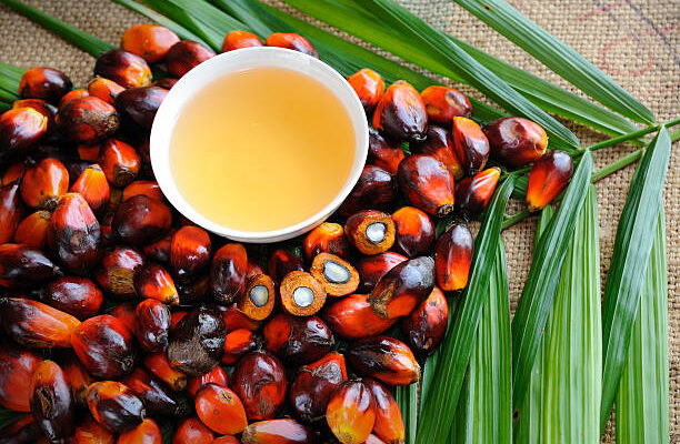 Telangana Oil Palm
