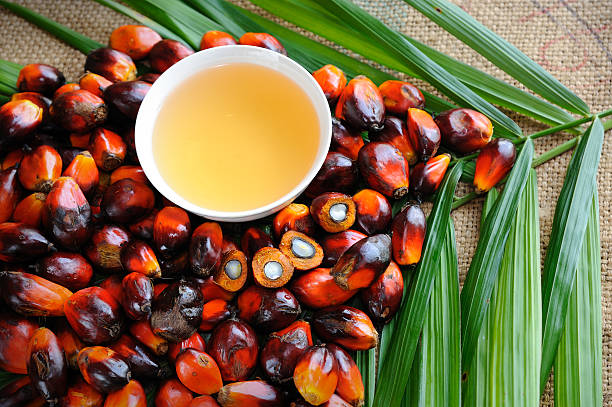 Telangana Oil Palm