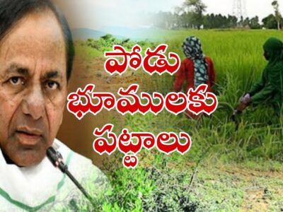 Podu Pattalu will be distributed by TS Govt from June 24th to 30th