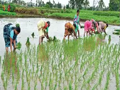 Podu Rythu Bandhu