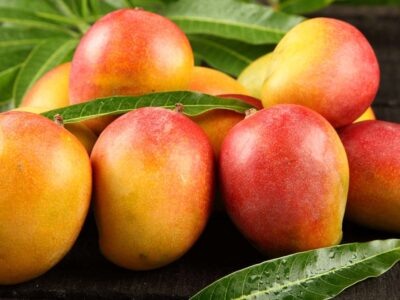 Post-Harvest Safety Measures in Mango and Cashew