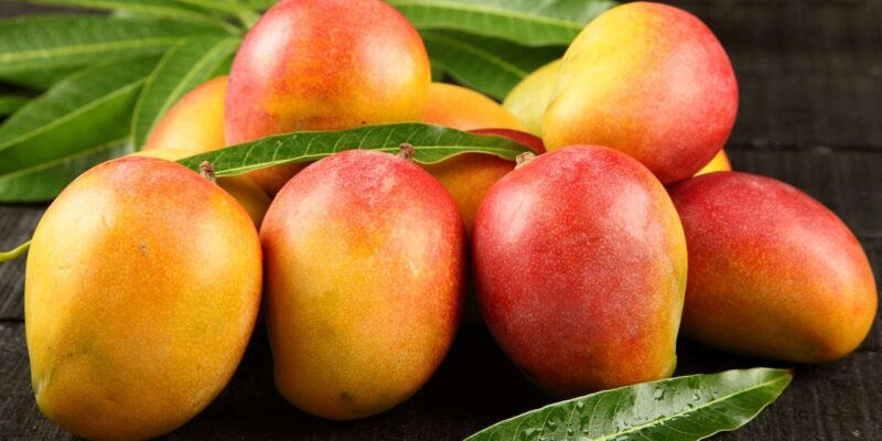 Post-Harvest Safety Measures in Mango and Cashew