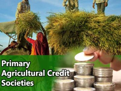 Primary Agricultural Credit Societies