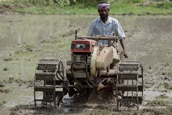 Rice Cultivation Methods