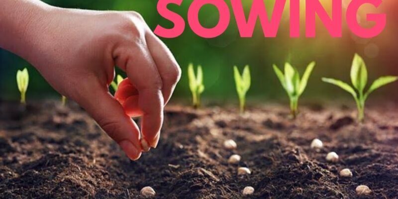 Sowing of Seeds