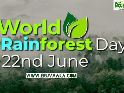 World Rainforest Day 2023