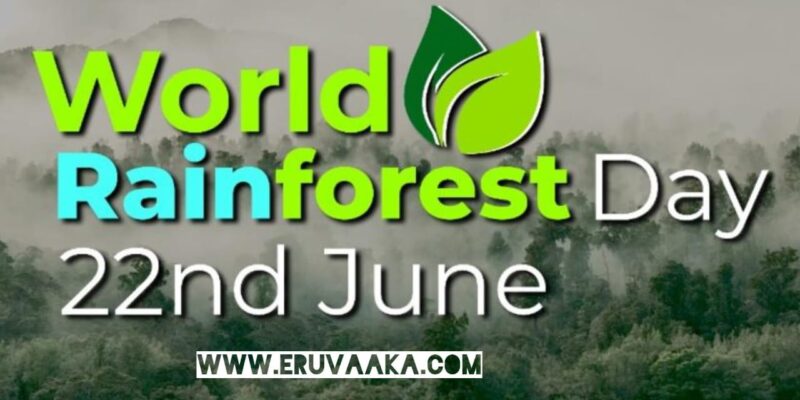 World Rainforest Day 2023