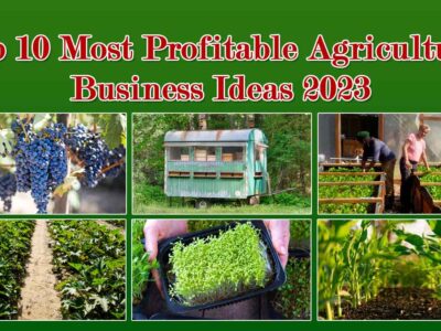 10 Profitable Agricultural Business Ideas