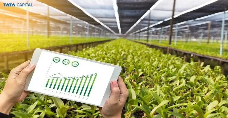 10 Profitable Agricultural Business Ideas