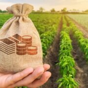 Agriculture