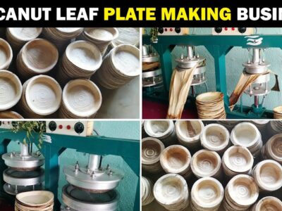 Areca Leaf Plates