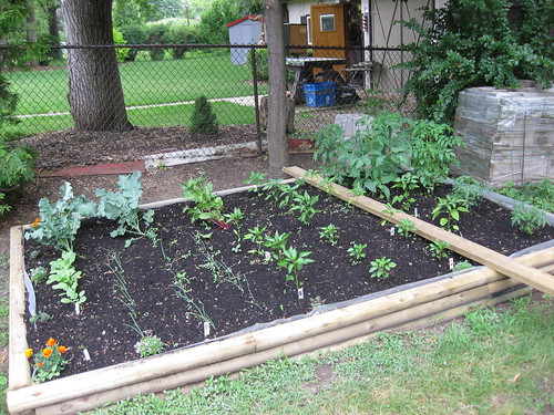 Backyard Vegetable Farming