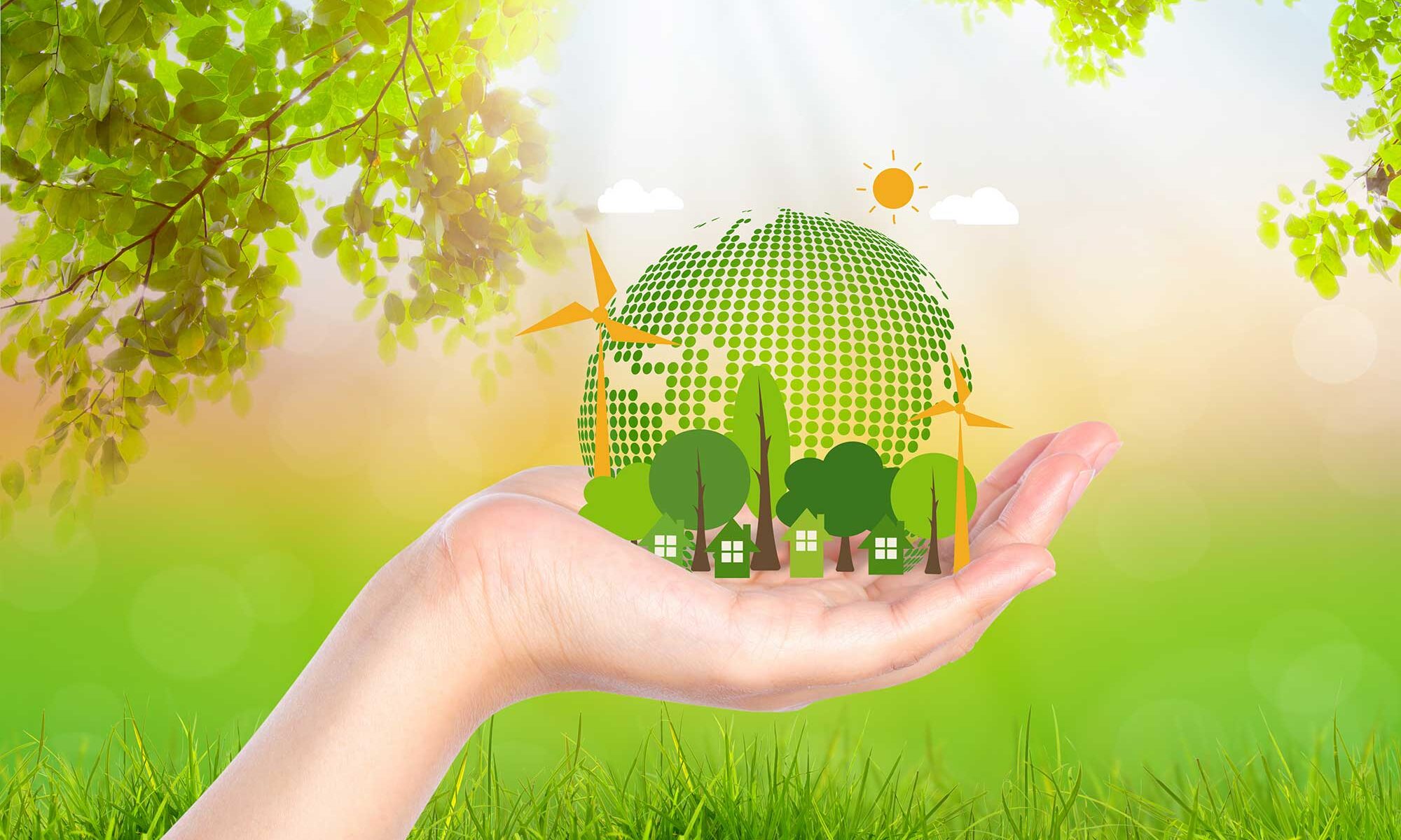 Bio Products: ఎరువులు, పురుగు మందులతో పనిలేదు.. ఆశలు రేకెత్తిస్తున్న ...