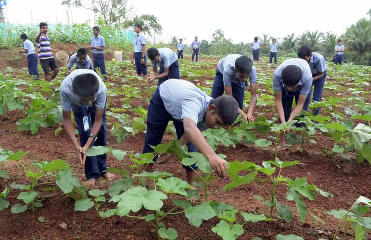 Building a career in agriculture and farming sector