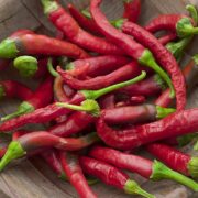 Chinthamani Chilli