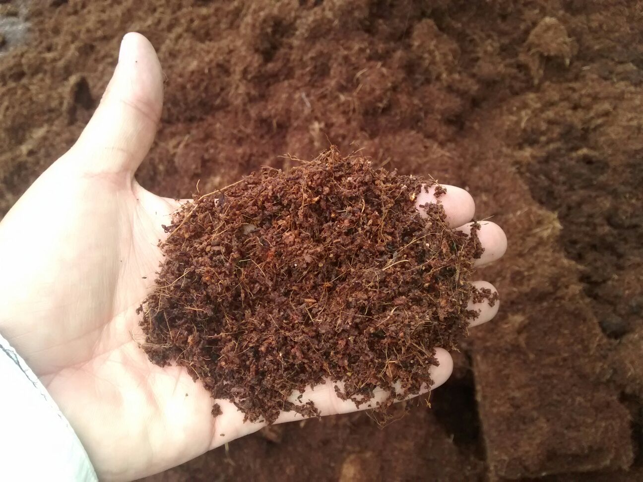 Coco Peat and Coco Coir