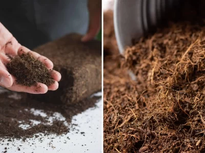 Coco Peat and Coco Coir