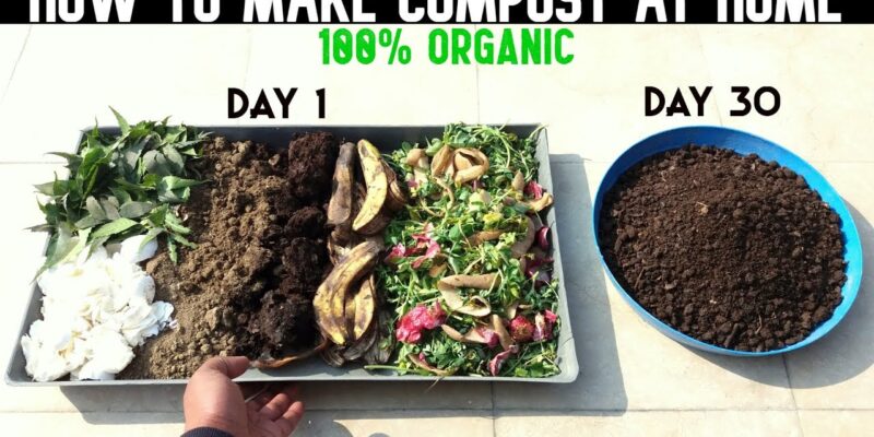 Composting At Home