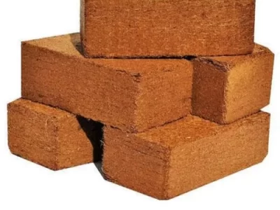 Cow Dung Bricks