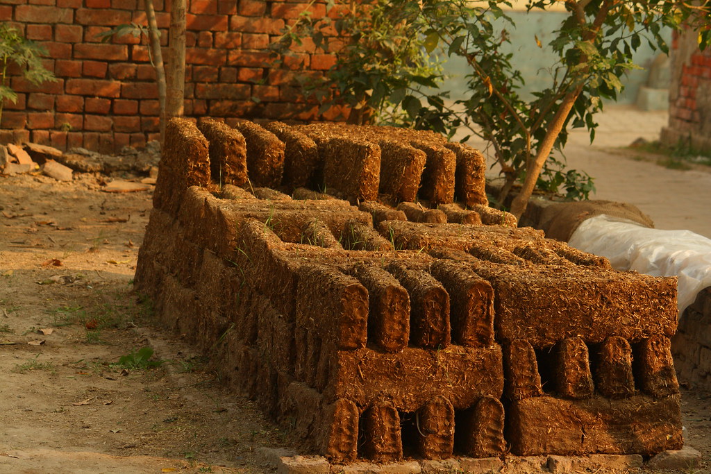 Cow Dung Bricks