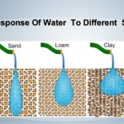 Different Types of Water Soil