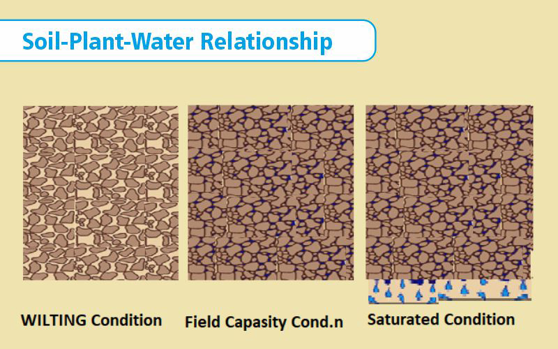 Different Types of Water Soil