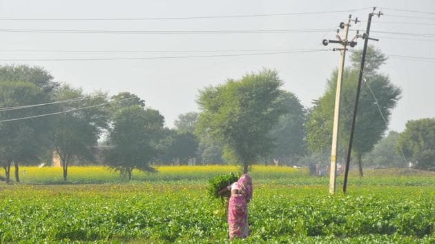 Electric Pole in Agricultural Land