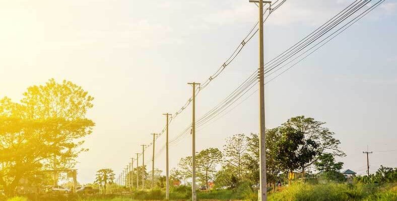 Electric Pole in Agricultural Land